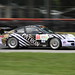 Shane Lewis Photo 33