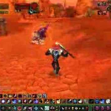 Matt Healey Photo 22