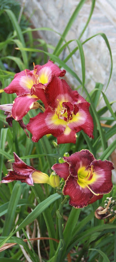 Claudia Smith Photo 38