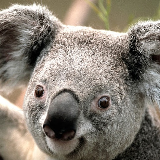 Emily Angel Photo 16