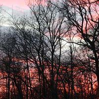 Richard Harmon Photo 33