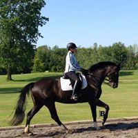 Susan Gilson Photo 14