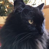 Beth Collins Photo 27 Beth Collins Photo 27