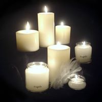 Nancy Lessard Photo 33
