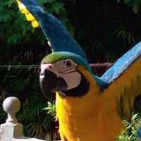 Melissa Cassidy Photo 39