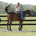 Traci Greene Photo 30