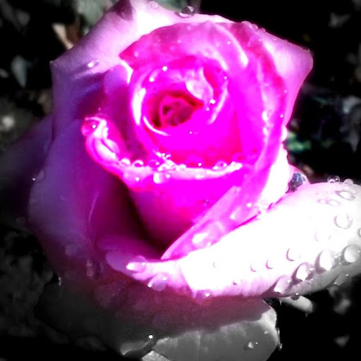 Samantha Rodgers Photo 40 Samantha Rodgers Photo 40