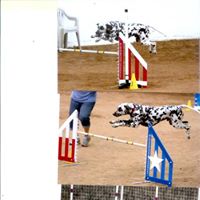 Jane Neely Photo 15