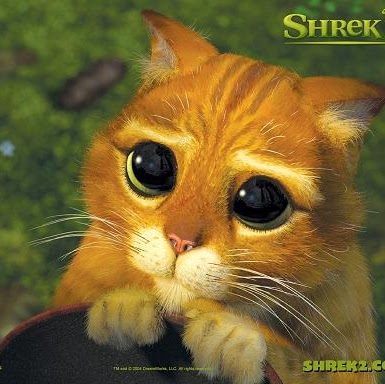 Jeff Hudson Photo 38