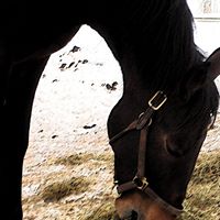 Jenna Collins Photo 9 Jenna Collins Photo 9