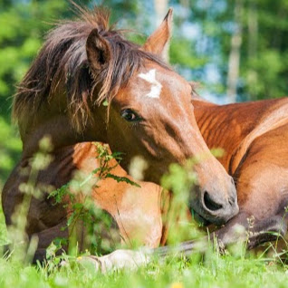 Juanita Browning Photo 2