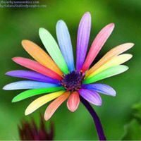 Jamie Irwin Photo 13