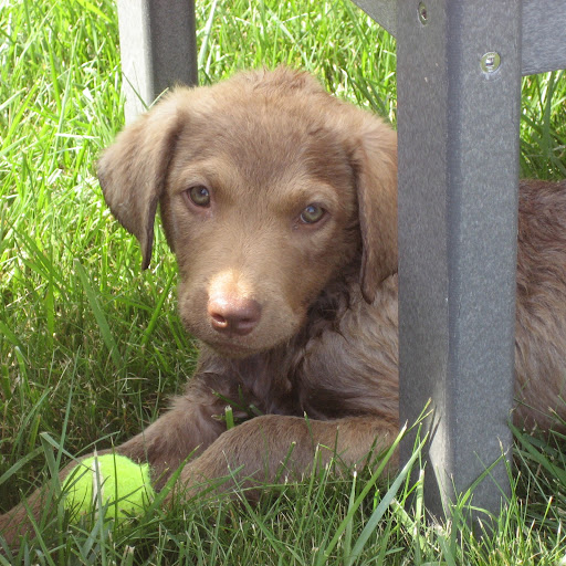 Jason Daugherty Photo 11