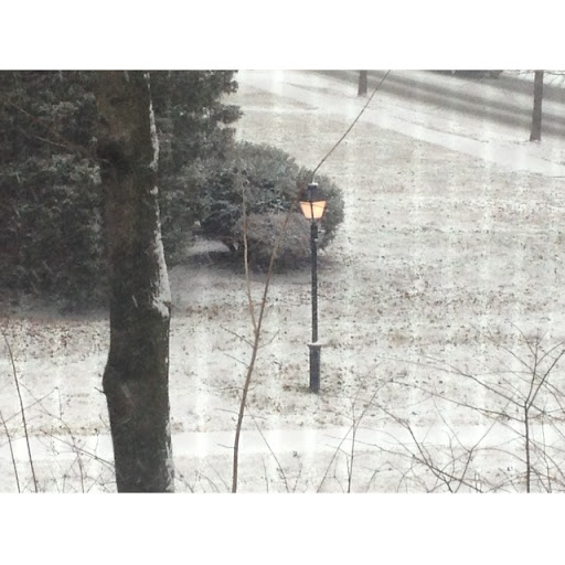 Travis Roderick Photo 19