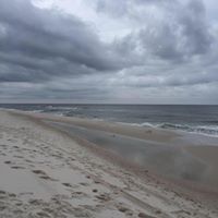 Sandy Stark Photo 30