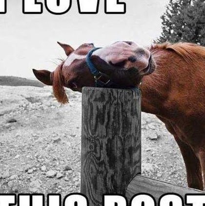 Julie Friedman Photo 15