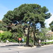 Arturo Siga Photo 6