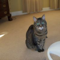 Nancy Holbrook Photo 12