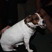 Jack Abate Photo 9