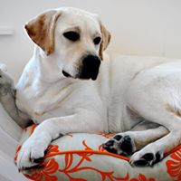 Christopher Barrett Photo 53 Christopher Barrett Photo 53