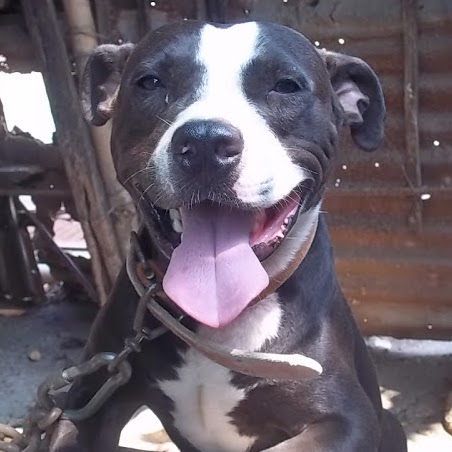 Michelle Fermin Photo 13