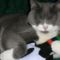 Paulino Martinez Photo 21