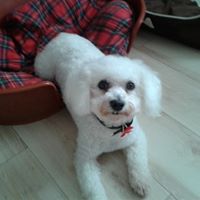 Karen Blake Photo 40