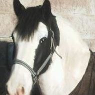 Vicky Sparks Photo 23