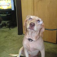 Kimberly Colston Photo 6