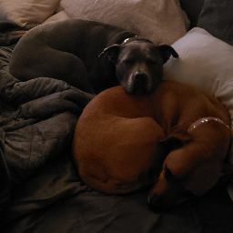 Craig Kirby Photo 38