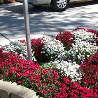 June Watkins Photo 19