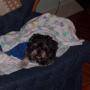 Donna Hopkins Photo 5