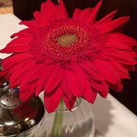 Cynthia Beck Photo 35