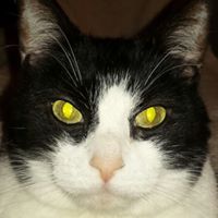 Carly Robbins Photo 11