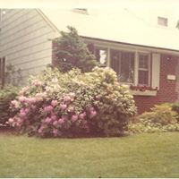 Adrienne Garrett Photo 19