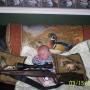 Nancy Dick Photo 30