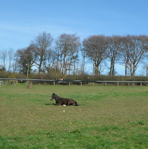 Christine Proctor Photo 9