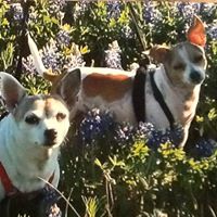 Karen Isham Photo 4