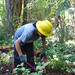 Tracie Fredericks Photo 14
