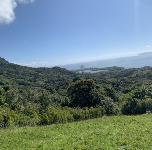 Tracey Mcgregor Photo 9