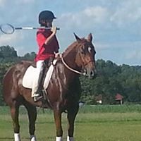 Sarah Horton Photo 32 Sarah Horton Photo 32