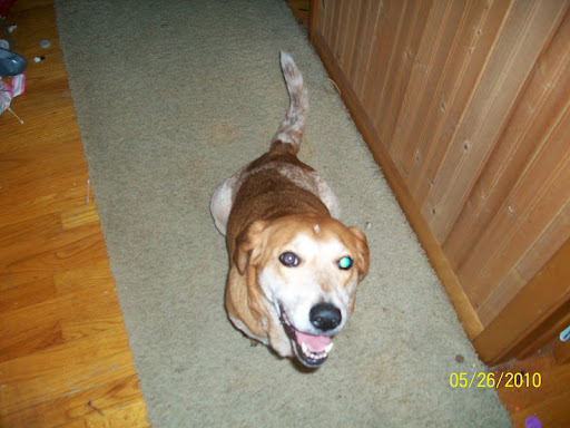 Christopher Slocum Photo 13