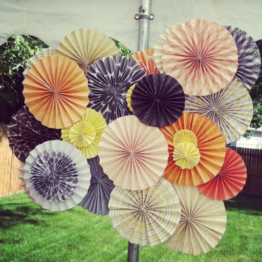 Shannon Krause Photo 9