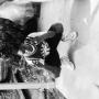 Ray Watts Photo 23