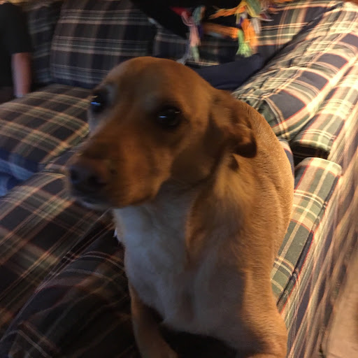 Janet Lowery Photo 5