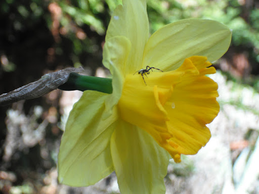Ann Erickson Photo 24