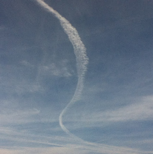 Brandon Whitt Photo 3