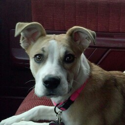 Tracy Bowen Photo 33