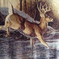 Tom Bayless Photo 12