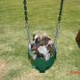 Abigail Gray Photo 15